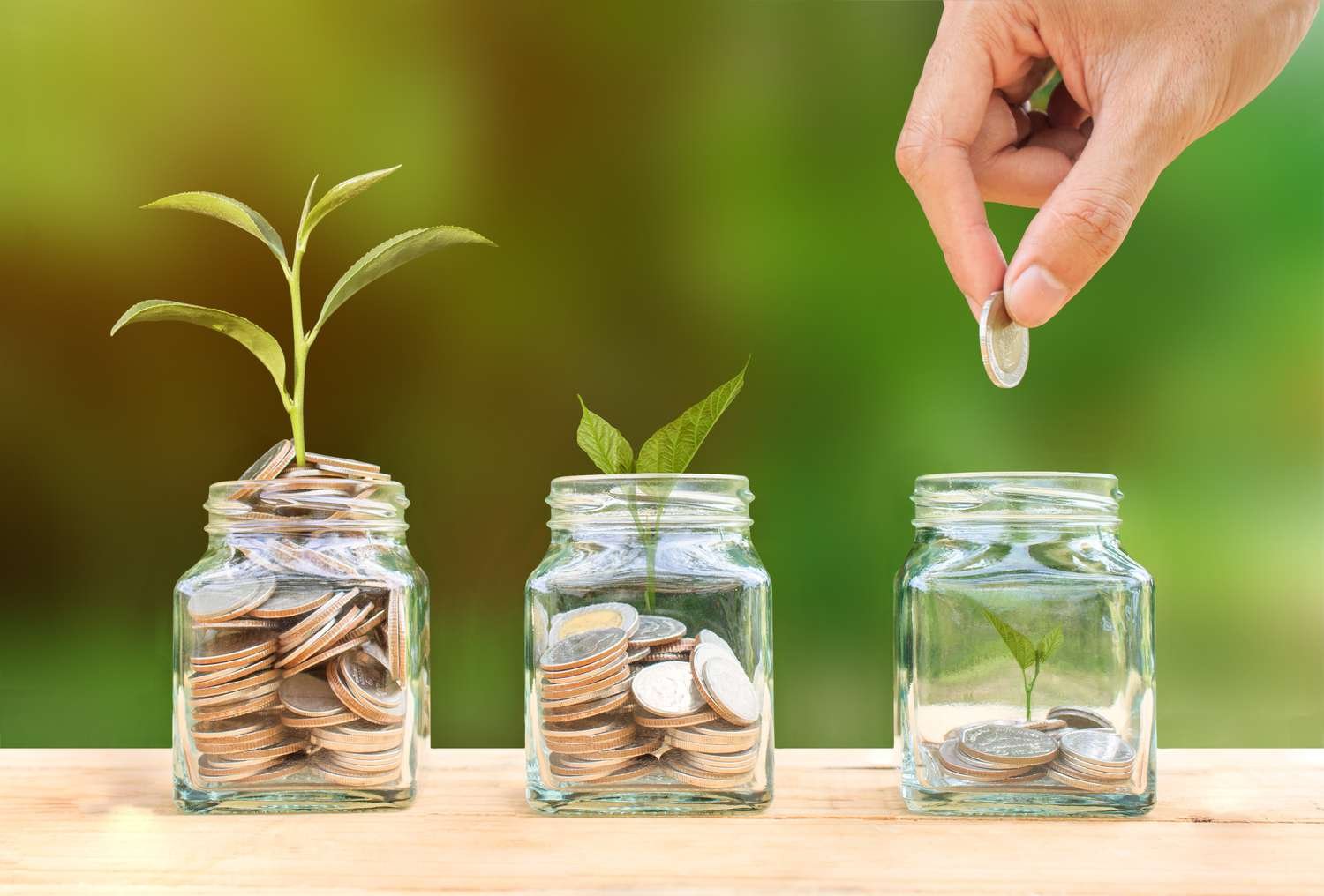 cropped-image-of-hand-putting-coins-in-jars-with-plants-755740897-5ab88ee1875db9003759d390
